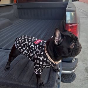 Dog jacket xxl